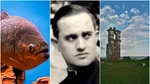 În 1970, un preot a vândut 12.000 de piranha în Europa. Banii obținuți au finanțat construirea unor poduri de 350 de metri și a unei piste de aterizare de 800 de metri pe o insulă braziliană izolată