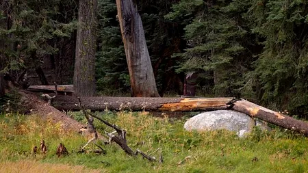 Cum vor britanicii să-i găsească pe Yeti și pe monstrul din Loch Ness