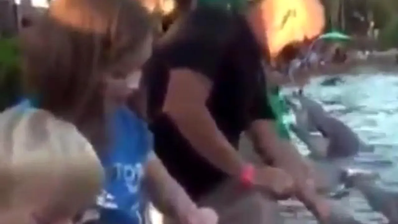 VIDEO. Momentul în care un delfin a mușcat o fetiță de mână într-un parc acvatic