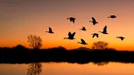 Un lac dispărut de peste un secol a revenit spectaculos, apoi a început să se evapore din nou