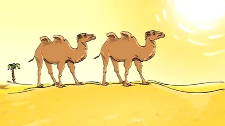 TEST IQ | Ce lipsește din această fotografie? Atenție la detalii!