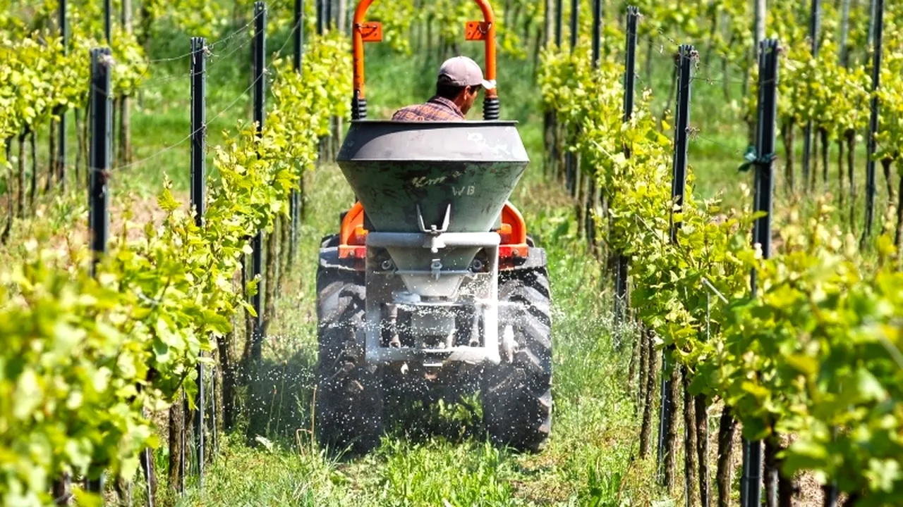 Ce subvenții agricole a primit firma Măr SRL a guvernatorului BNR, Mugur Isărescu