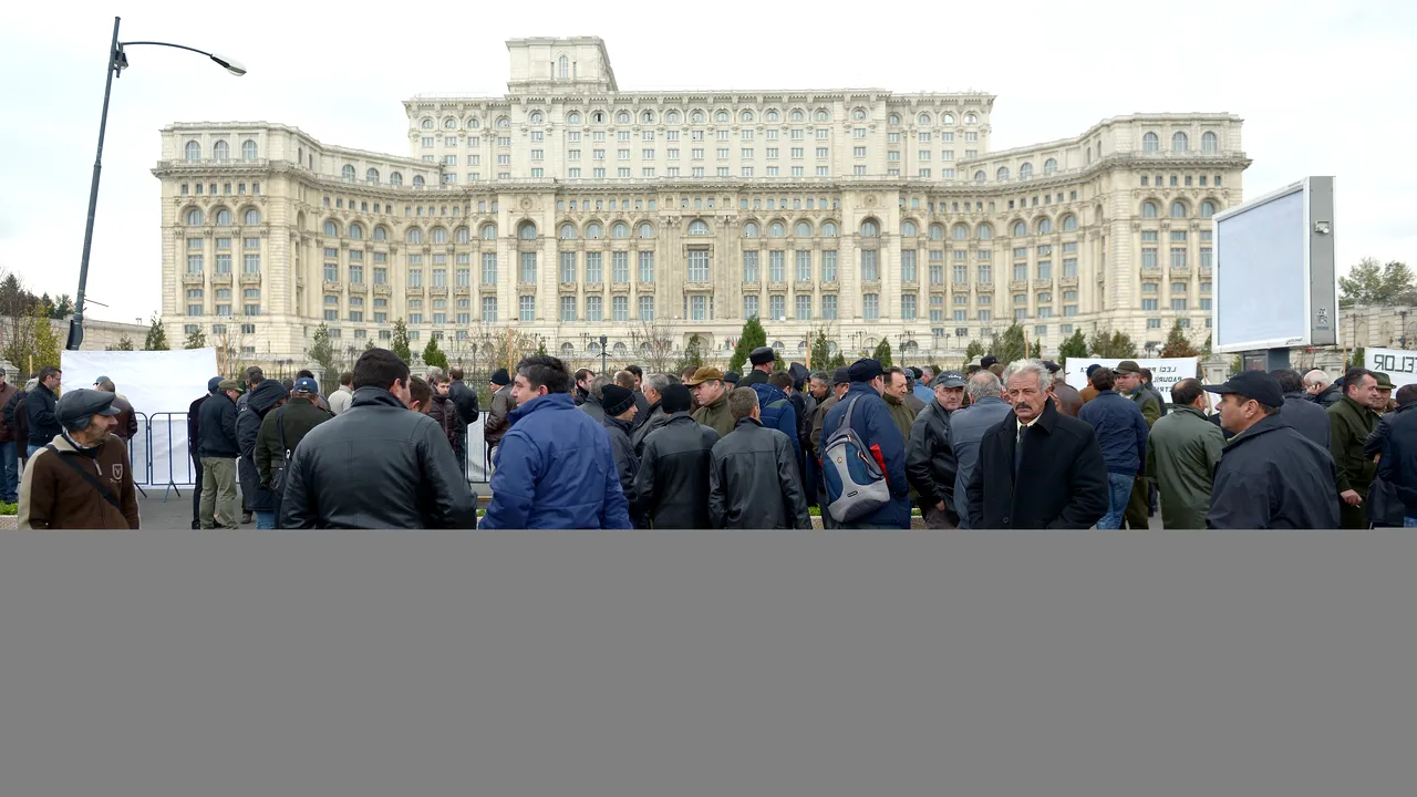 Silvicultorii cer convocarea CSAT pentru analizarea problemelor pe care le au privind paza pădurilor