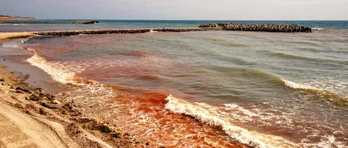 Fenomen RAR în stațiunea Olimp, unde Marea Neagră a devenit roșie! Explicația unui biolog marin