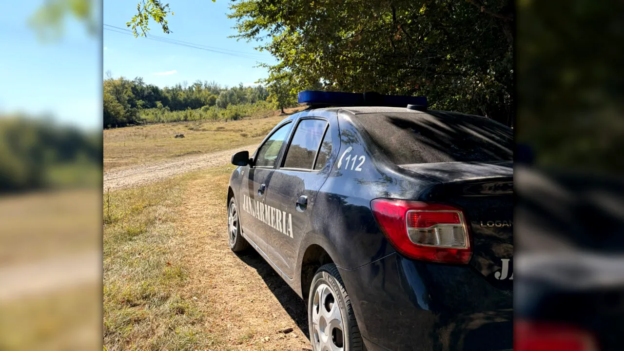 Un bărbat din Dâmbovița, declarat decedat, a apărut în evidențele polițiștilor ca transportator de lemne. Cum a fost posibil așa ceva