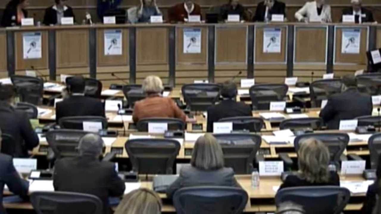 O audiere în Parlamentul European pe tema justiției din România a pus degetul pe „rana națională