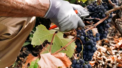 <span style='background-color: #005254; color: #fff; ' class='highlight text-uppercase'>SĂNĂTATE</span> Mihaela Barticel, psiholog, despre românii din ITALIA: „Mulți, chiar dacă sunt bine integrați, se simt străini”