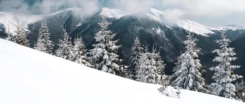 Mai mulți turiști au rămas blocați cu mașinile în zăpadă, în zona Vârfului Bihor