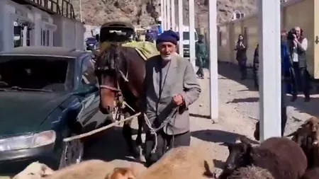 VIDEO | Nagorno-Karabah: Un cioban a trecut granița spre Armenia cu întreaga turmă de oi. Imaginile au devenit virale