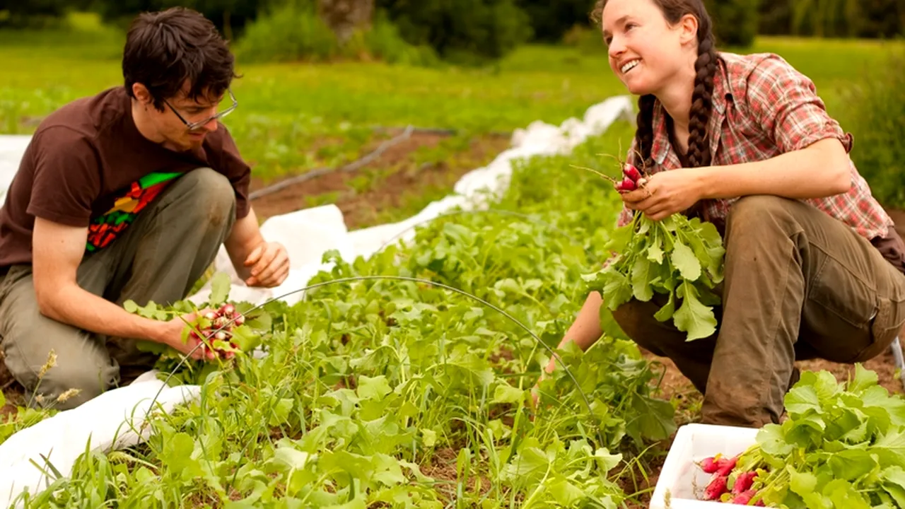 Domeniul în care patronii se roagă de tineri să se angajeze. Un începător poate câștiga 2.500 de lei pe lună