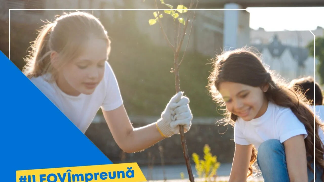 (P) CJ Ilfov te invită în weekend să plantezi copaci în Pădurea Pustnicu din Pantelimon