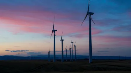 Câteva date și idei despre 2021. O fundație pe care ar trebui să construim în 2022