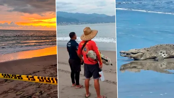 Un bărbat a fost ucis de un crocodil în timp ce înota. Scena de groază s-a întâmplat sub ochii turiștilor care au încercat să-l salveze