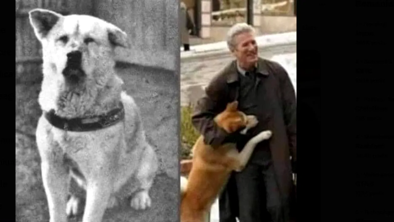 VIDEO | 100 de ani de la nașterea lui Hachiko, cel mai loial câine din lume / Și-a așteptat 10 ani stăpânul, fără să știe că acesta a murit