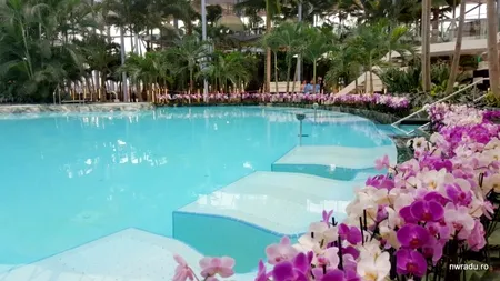 Câți bani a dat statul pentru complexul Therme