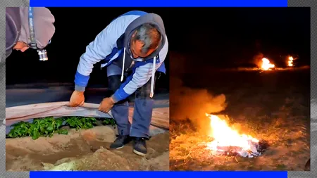 Nopți albe pentru fermierii din țară. Au aprins focurile în plantațiile de pepeni și cartofi din cauza frigului