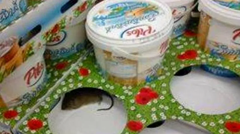 Super-ofertă la un supermarket din Vaslui: smântână cu șoarece 