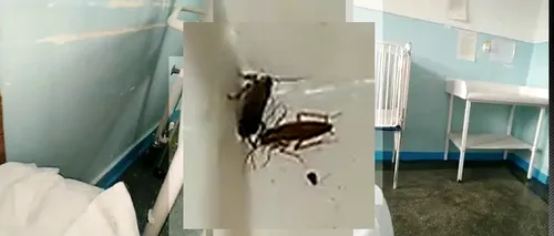 Imagini șocante într-un spital din România: Gândaci și mizerie, filmate de o mamă care s-a internat cu copilul / Reacția conducerii unității medicale