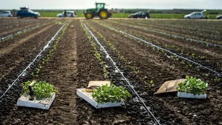 Ce salarii câştigă românii din Diaspora. Leafa poate ajunge şi la câteva mii bune de euro pentru lucrătorii din aceste domenii