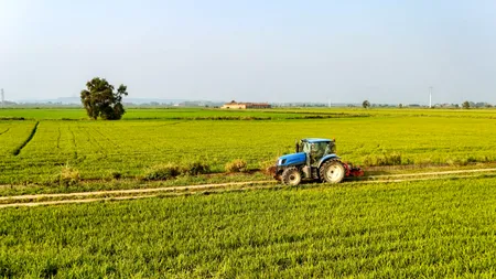 Condițiile în care fermierii pot pierde subvențiile APIA în 2026. Ce se întâmplă cu dosarele din agricultură