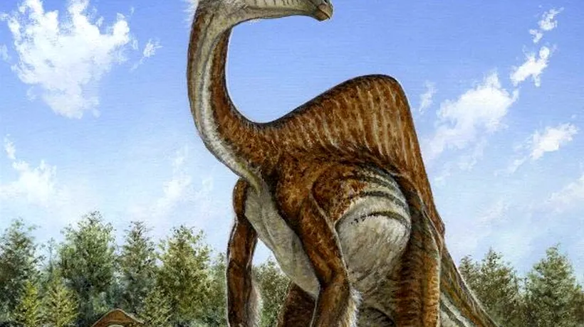 Imaginea unei specii de dinozaur de acum 70.000.000 de ani, reconstituită după 50 de ani de speculații