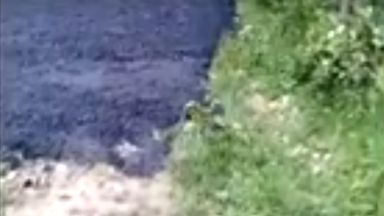 PE DOS. Cum se asfaltează drumul comunal în Argeș: Asfaltul turnat direct pe iarbă! Totul a fost dat în vileag - VIDEO