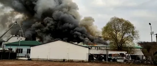 Incendiu puternic la o fabrică de mezeluri din Olt. Au venit în ajutor și pompierii din Argeș și Vâlcea