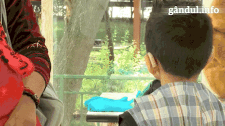 MAGAZINUL GRATIS, singurul loc din România în care fiecare lucru e DE NEPREȚUIT. „E vorba de demnitate. Nu stai cu mâna întinsă