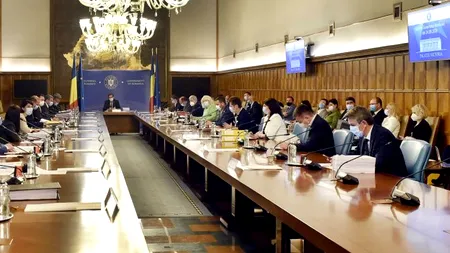 Guvernul a aprobat scheme de ajutor de stat de 182,2 milioane de lei pentru aeroporturile regionale și chirii în mall-uri