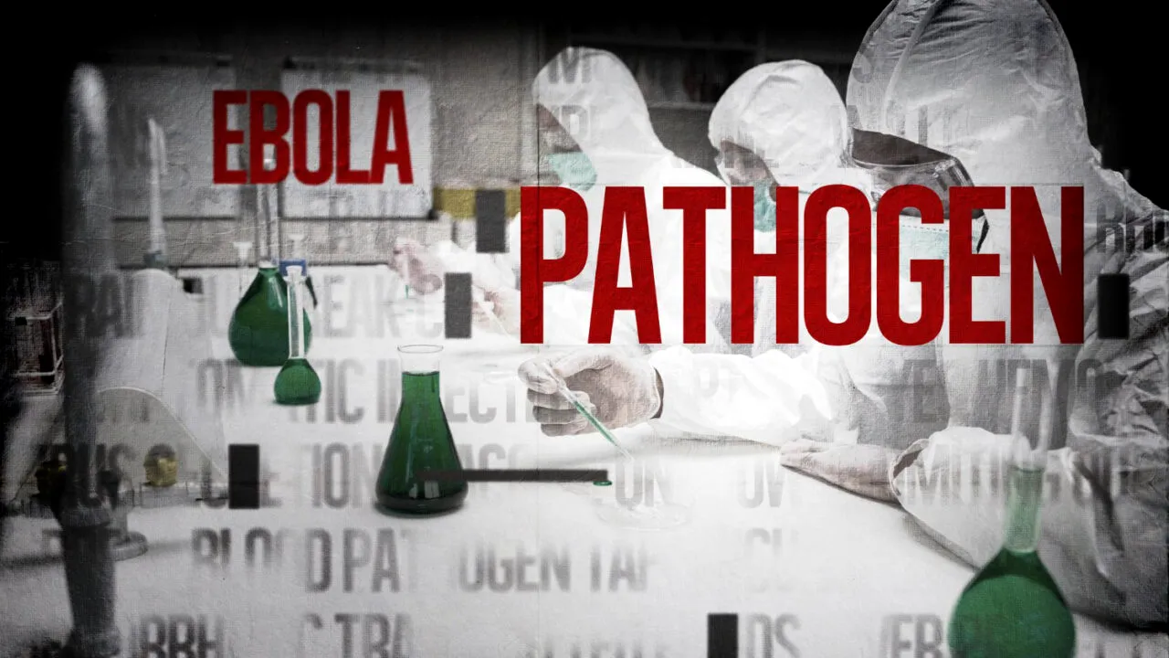 Alertă sanitară în Africa: Ebola face ravagii în Congo: peste 100 de morți și sute de cazuri suspecte. OMS declară urgență internațională