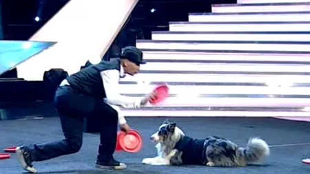 ROMÂNII AU TALENT. Bruno Iacobeț, aplaudat în picioare de cei trei jurați la finalul numărului său de dresaj - VIDEO