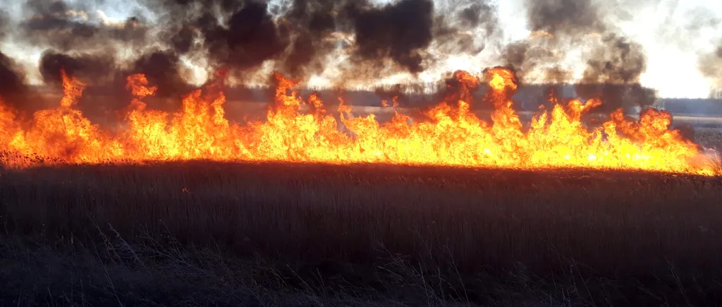 Incendiu puternic în Olt. Au ars 70 de hectare de vegetație uscată