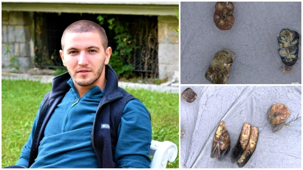 Localitatea din România în care trăiau hiene. Cercetarea de la UAIC care rescrie trecutul: am avut un climat de savană în țara noastră?