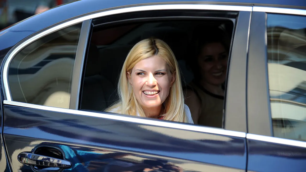 Udrea: Nu candidez la funcții în PDL, candidează Paleologu, Ariton, Anastase, Scripcaru, Bode, Tomac