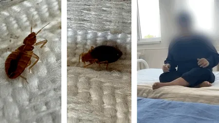 Situație critică la un centru de îngrijiri din Vrancea, infestat cu ploșnițe. Imagini halucinante cu insectele care se „plimbă” în voie pe saltele