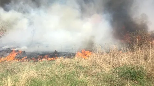 Un pompier din Argeș a murit, în timp ce stingea un incendiu de vegetație izbucnit pe Autostrada 1