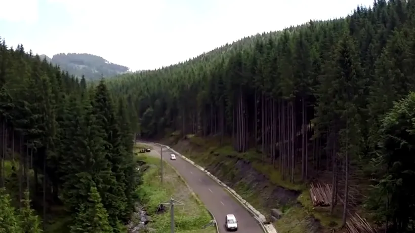 Limitatoarele de înlățime de pe drumul Transrarău, supraînălțate ilegal de transportatorii de lemn pentru a putea intra camioanele