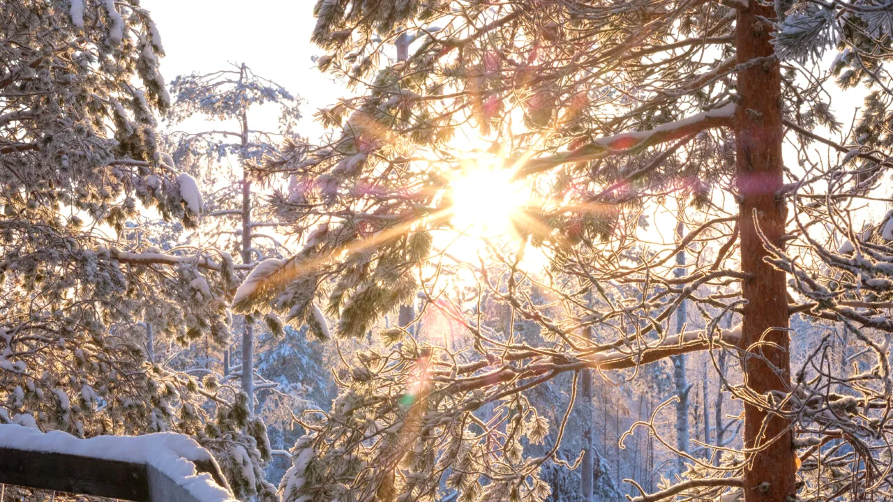 Vremea azi, 9 ianuarie. Temperaturi de 18 grade în sudul și în sud-estul României. Vreme nefiresc de caldă