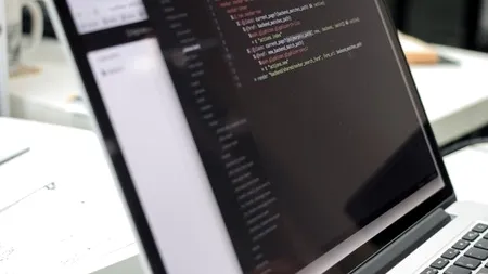 Angajatul care și-a distrus compania cu o singură linie de cod