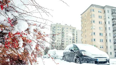 Avertizare ANM. Cod portocaliu de ninsori, polei și viscol în 14 județe din țară