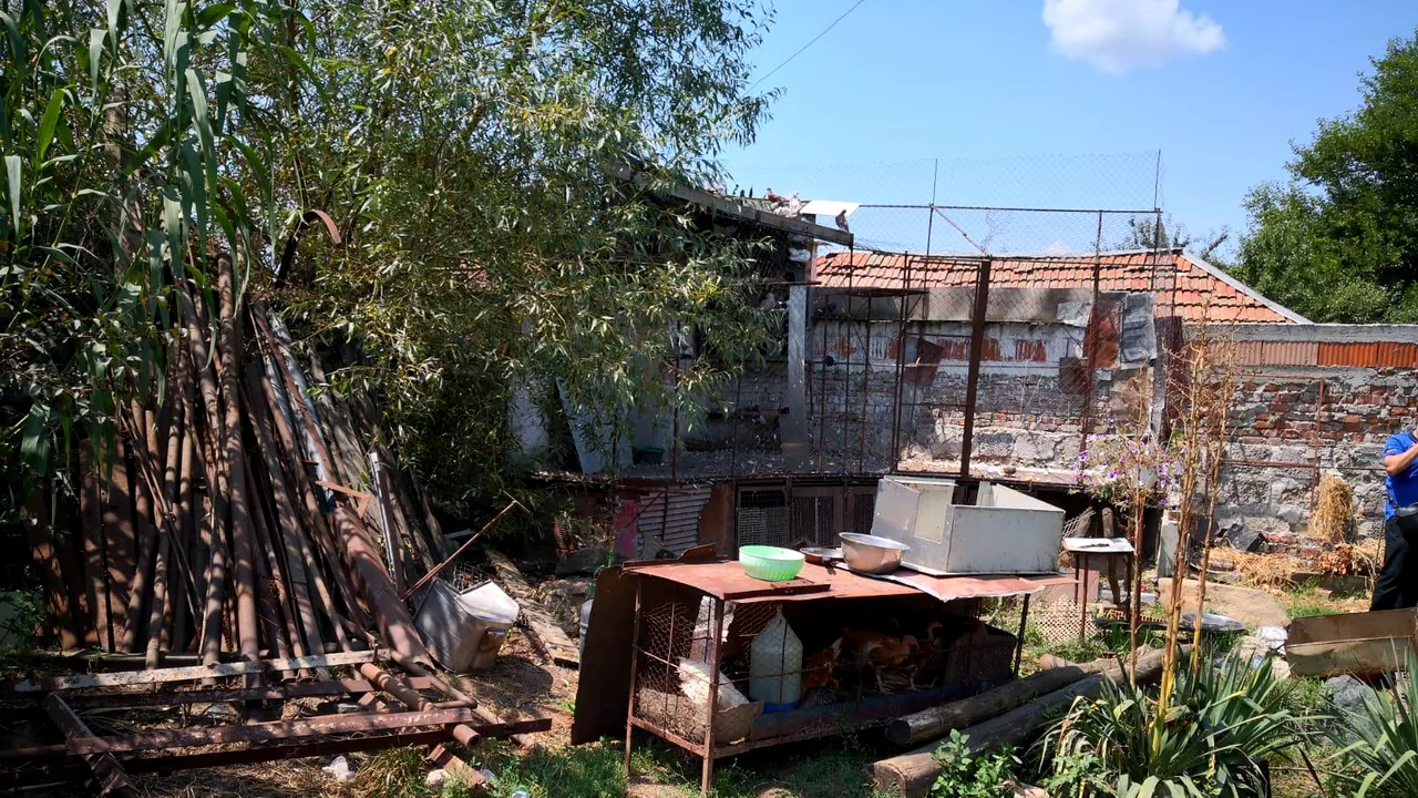 Cazul adolescentelor dispărute | APADOR-CH iese la atac: Cerem demiterea ministrului Comunicațiilor, a directorului STS și a unor secretari de stat MAI