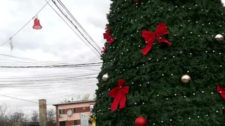 Inițiativa neobișnuită a autorităților din Bârlad, care cereau de la oameni brad de Crăciun, a eșuat: Nu erau de pus în fața primăriei