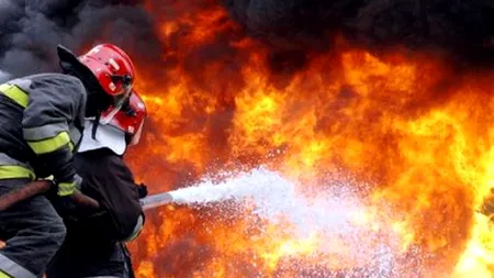 Incendiu în curtea fabricii de cherestea Holzindustrie Schweighofer. Ce explicații dau reprezentanții firmei 