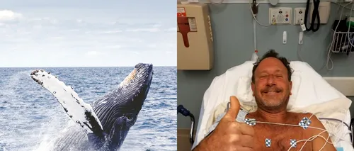 În gura balenei. Cum a supraviețuit bărbatul care era la un pas să fie înghițit de mamiferul marin: „Credeam că voi muri”