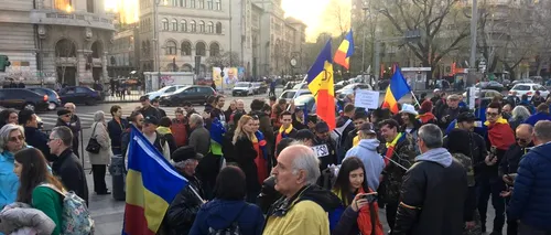 Proteste la Sibiu în timpul Summitului UE. Greenpeace România va manifesta pentru situația mediului din țară și din Europa