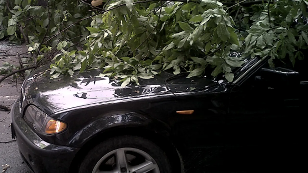 Patru autoturisme, avariate de un copac doborât de vânt în Cluj