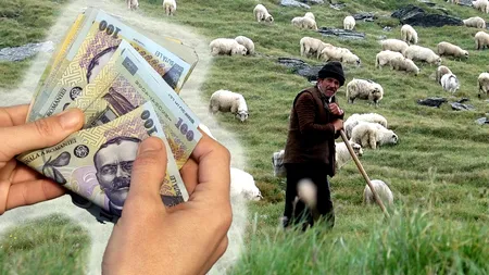 Câți lei primește SALARIU un cioban în România, în 2023. Câte clase trebuie să aibă și câte ore lucrează pe zi
