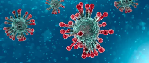 Bilanț coronavirus 13 august. 383 de cazuri noi de COVID-19 în ultimele 24 de ore