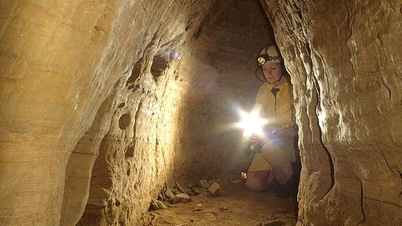 Fosilele unui nou tip de reptilă zburătoare, descoperite în România