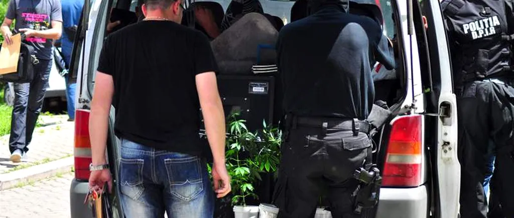 Tânăr din Timișoara, prins cu trei saci de canabis în portbagajul mașinii